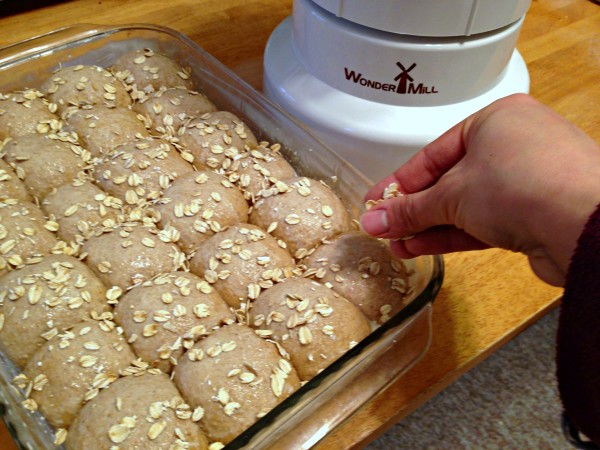 Maple Oat Sourdough Dinner Rolls at the Grain Mill Wagon by Kristen @ Smithspirations