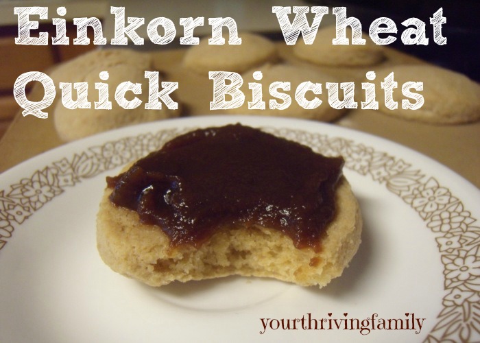 Quick Biscuits {plus}