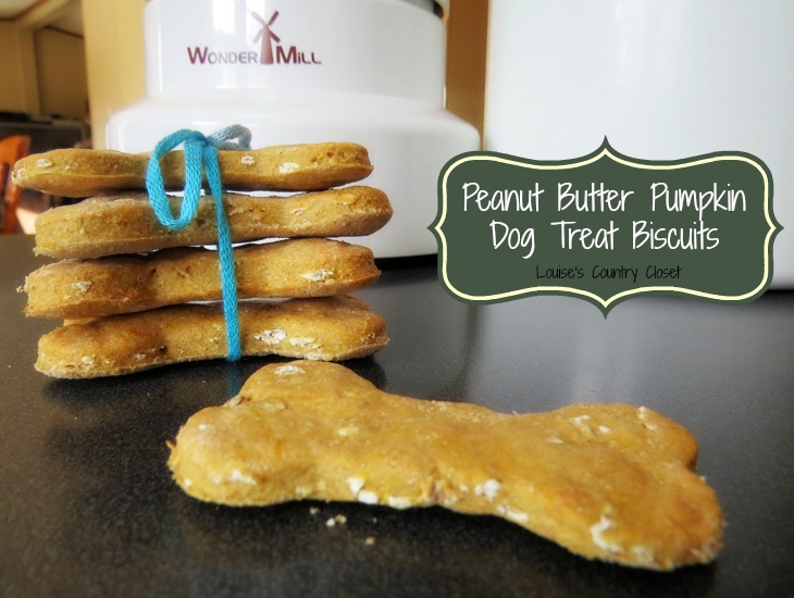Peanut Butter Pumpkin Dog Biscuits