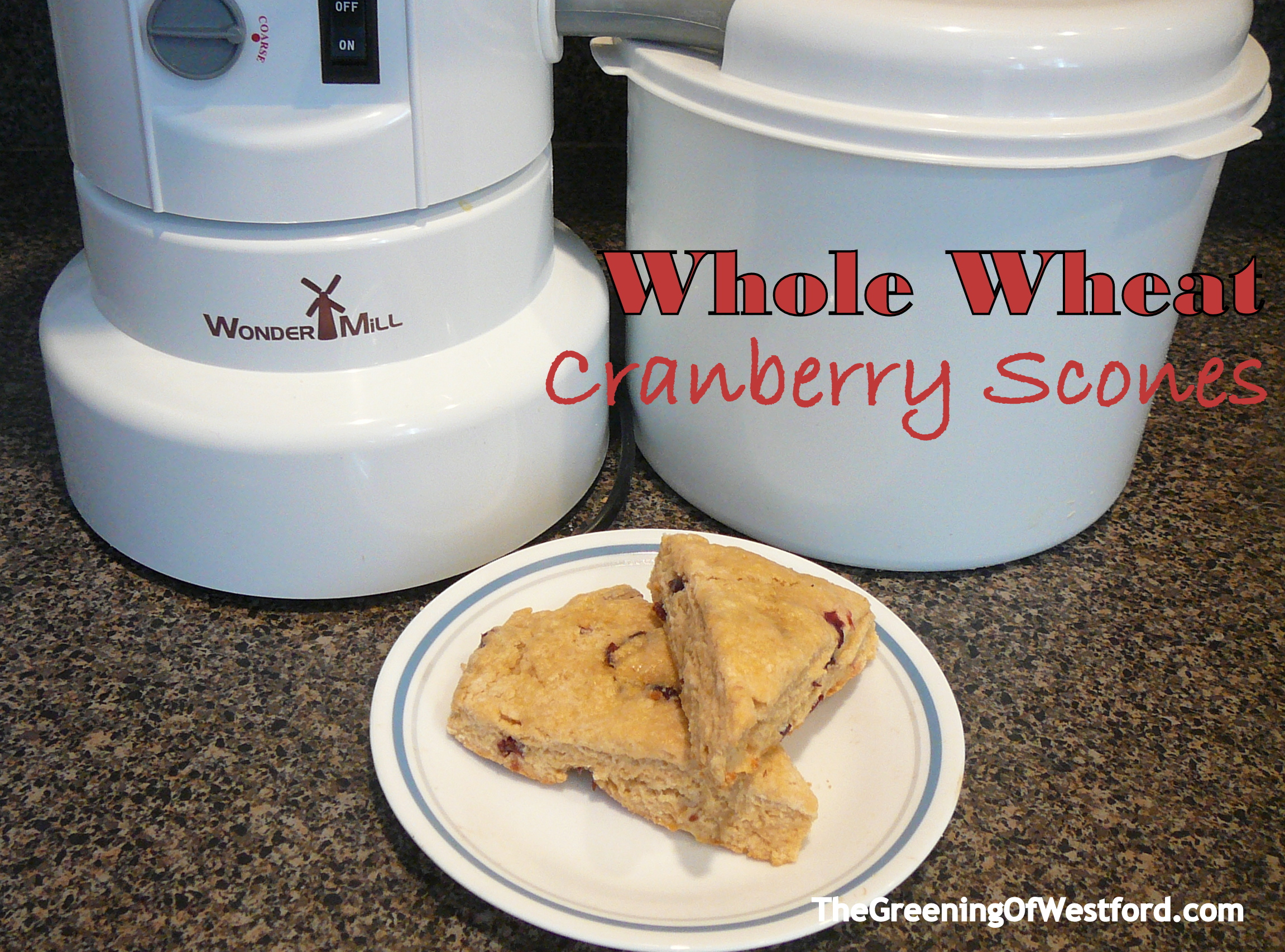 Whole Wheat Cranberry Scones