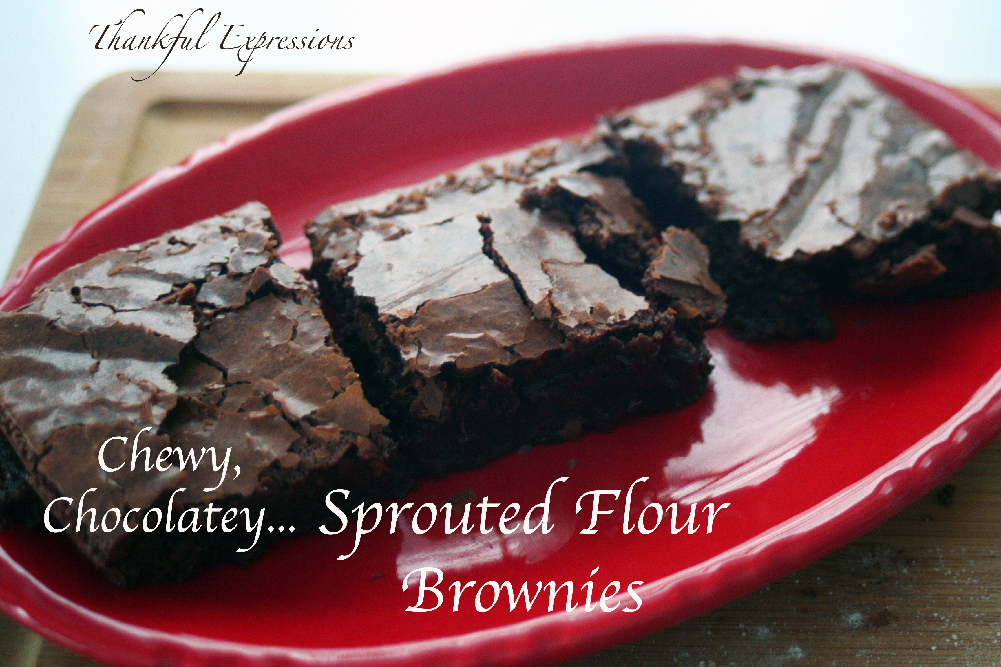 Chewy, Chocolatey, Sprouted Flour Brownies