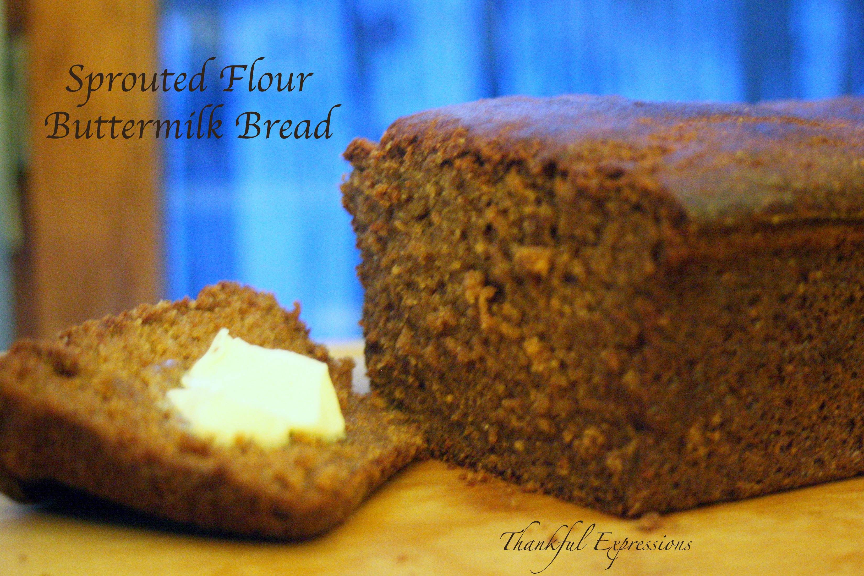 Sprouted Flour, Buttermilk Bread