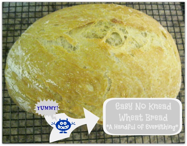 No Knead Wheat Bread