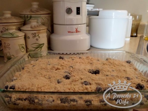 Blueberry breakfast bars all ready to go into the oven!