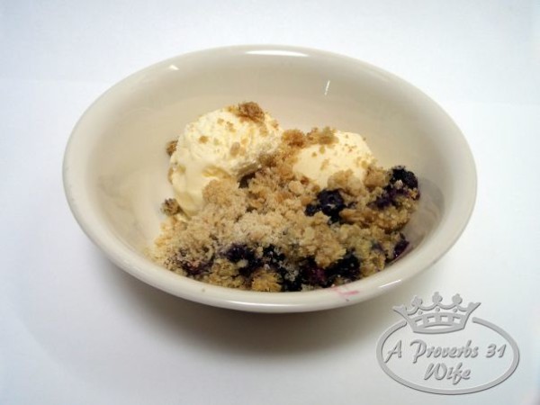A hot blueberry breakfast bar, crumbled on top of ice cream for an amazing snack!