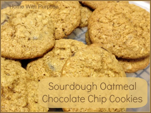 Sourdough Oatmeal Chocolate Chip Cookies