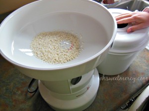 Grinding rice flour