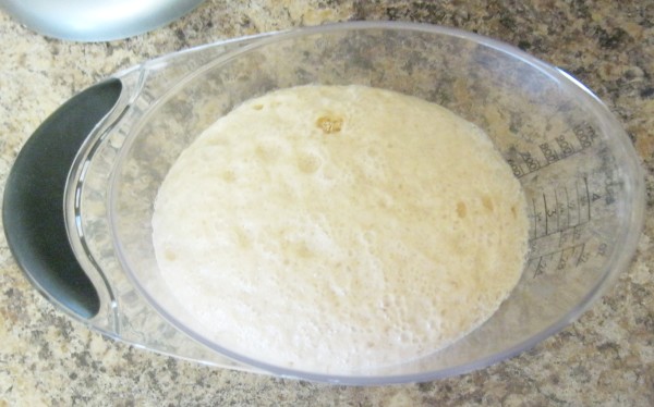 A Handful of Everything: Delectable White, Whole Wheat, and Oat Dinner Rolls