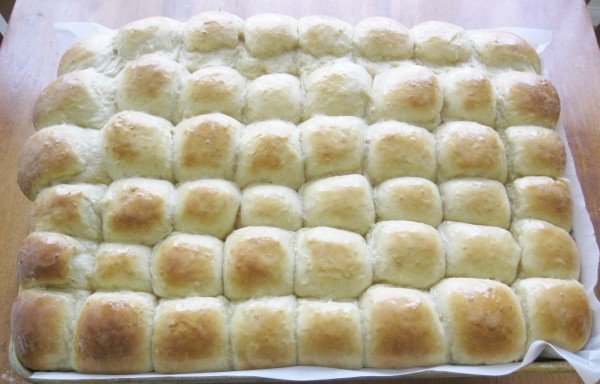 A Handful of Everything: Delectable White, Whole Wheat, and Oat Dinner Rolls