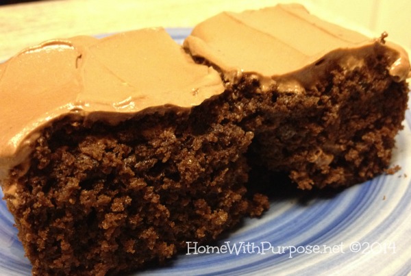 Simple Sourdough Chocolate Cake