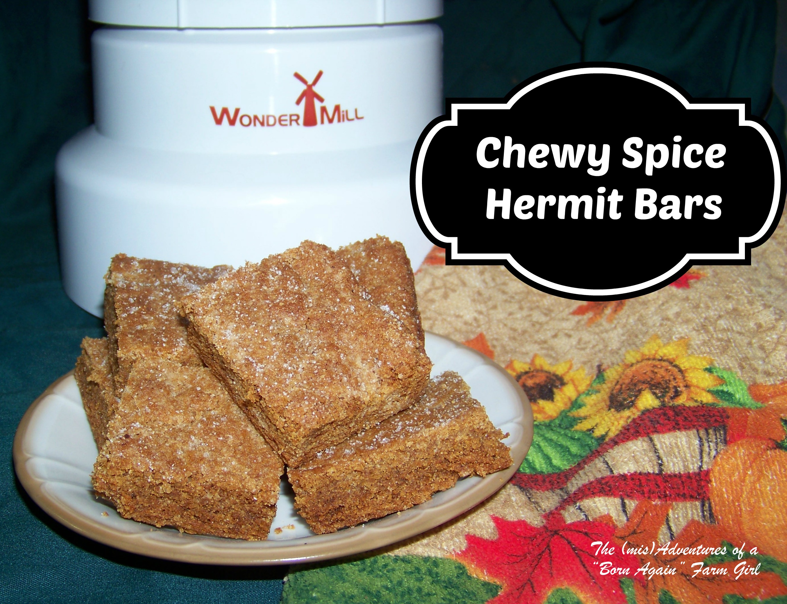 Chewy Spice Hermit Bars