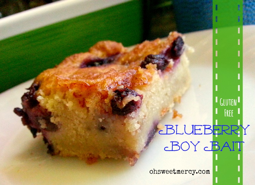 Blueberry Boy Bait {Gluten Free}