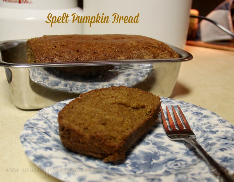 Spelt Pumpkin Bread