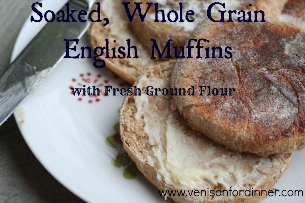 Whole Grain English Muffins