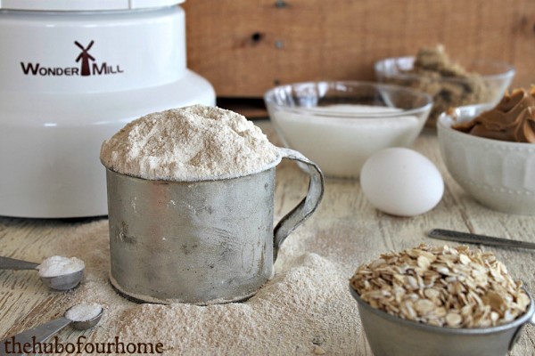 ww peanut butter oatmeal0015watermark