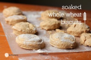 Live Simply Whole Wheat Biscuits