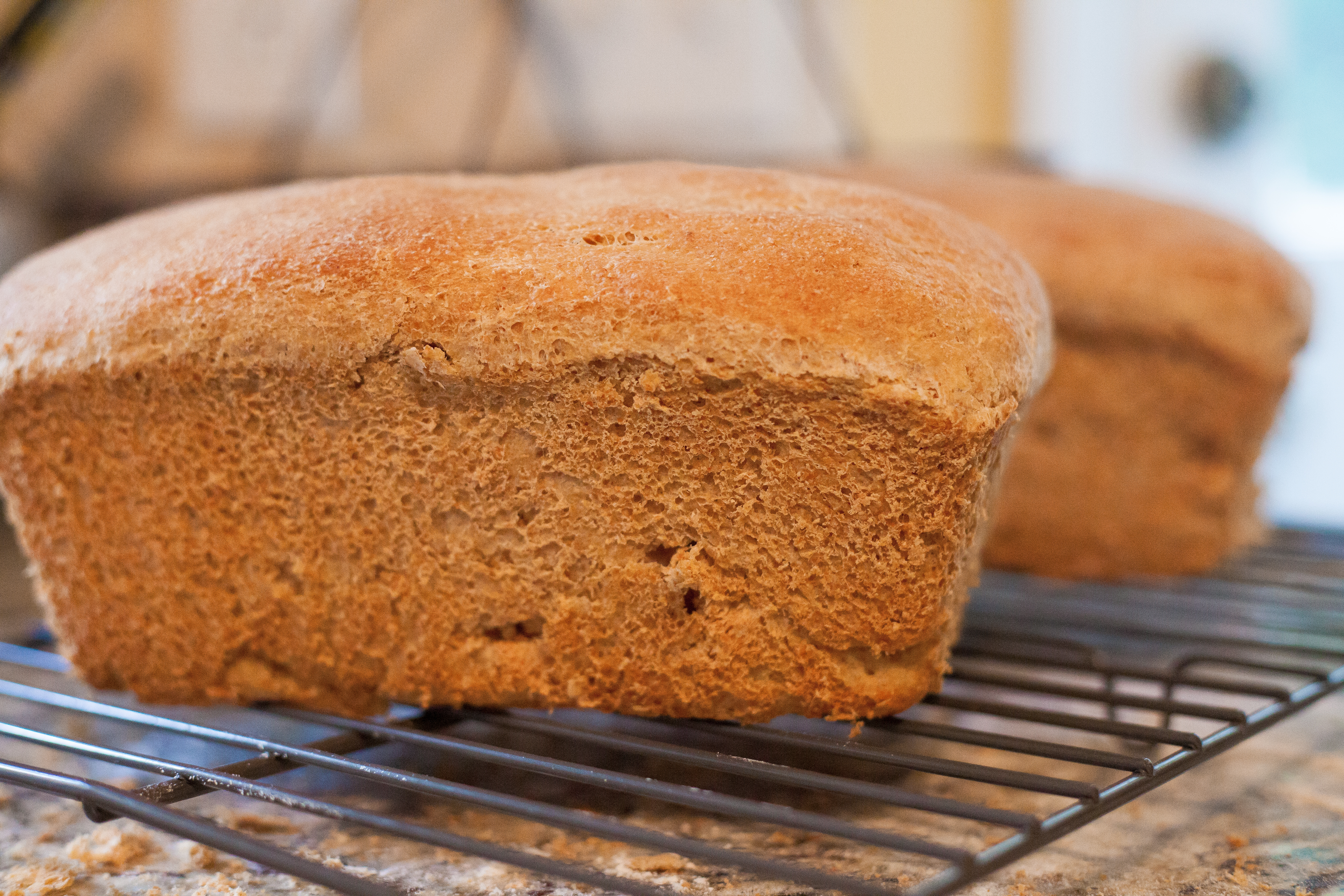 Delicious whole wheat bread