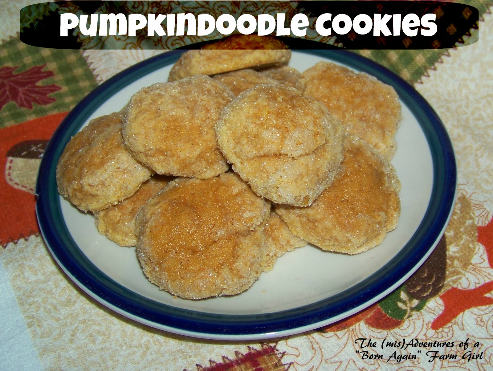Pumpkindoodle Cookies