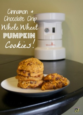 Cinnamon & Chocolate chip Whole Wheat Pumpkin Cookies