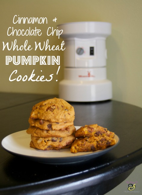 Cinnamon & Chocolate Chip Whole Wheat Pumpkin Cookies