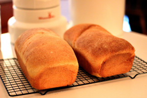 Honey Whole Wheat Sandwich Bread Loaf thekneadyhomesteader