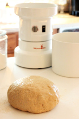 honey whole wheat bread thekneadyhomesteader dough